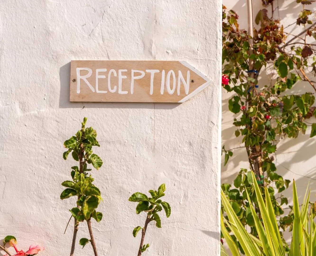Unio Ibiza - Adults Only Hotel